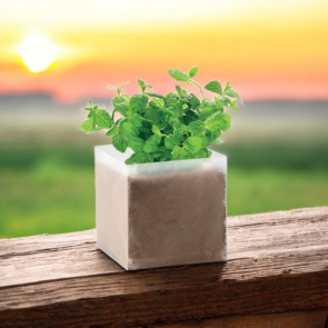 Mint Seed and Compost Bag