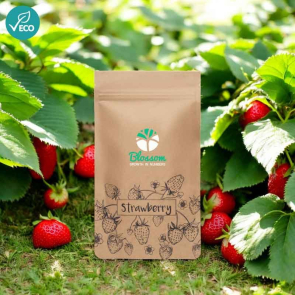 Grow Your Own Strawberries Kit