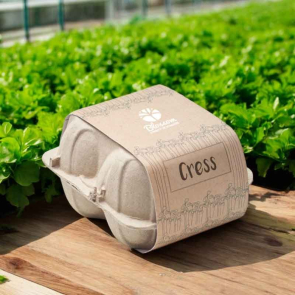 Grow Your Own Cress