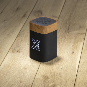 Light-Up Clever Wood Speaker