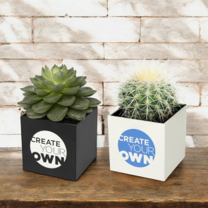 Hey Pots Aluminium Planted Pot