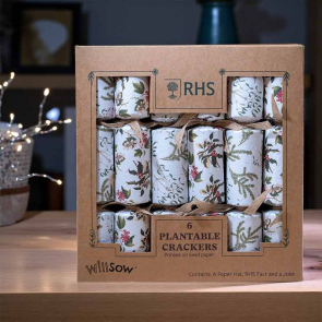 Plantable Christmas Crackers (6 pack)