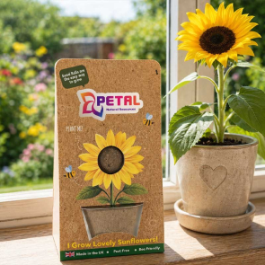 Sunflower Seed Ball Pot Card