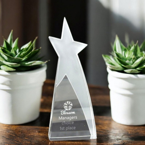 Medium Shooting Star Award