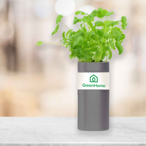 Desktop Tube Garden with Seeds