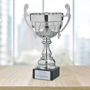 Silver Trophy Cup