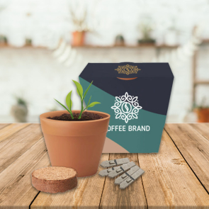 Recycled Pot Gardens with Seeds