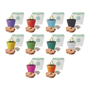 Bamboo Pot Gardens with Seeds
