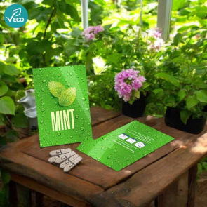 Medium Seed Packet Envelope Medium