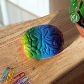 Rainbow Coloured Brain Shaped Stress Ball