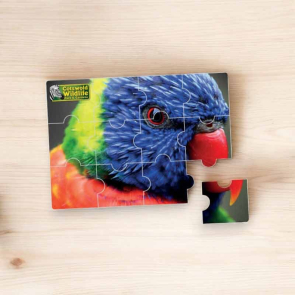 Magnetic Puzzle