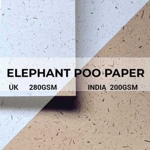 Seeded Paper Wristbands