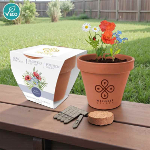 Essentials Clay Pot Gardens