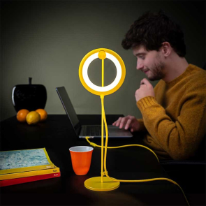 Bily Bird Desk and Portable Light