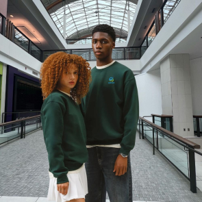 Heavy Blend™ Adult Crew Neck Sweatshirt