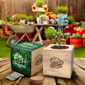 Desktop Cube Gardens