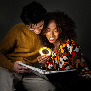 Bily Bird Desk and Portable Light