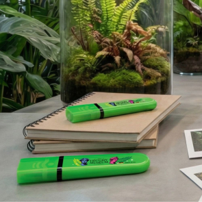 BIC® Highlighter Flat