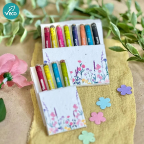Plantable Colouring Pencils