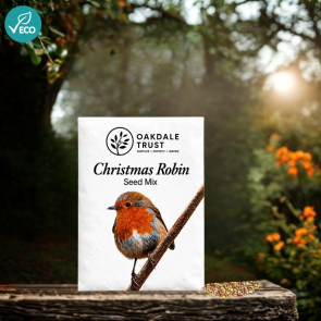 Christmas Robin Seed Mix 40g