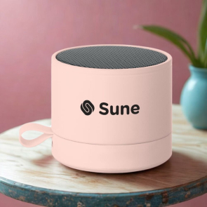 Wireless 5.1 Speaker